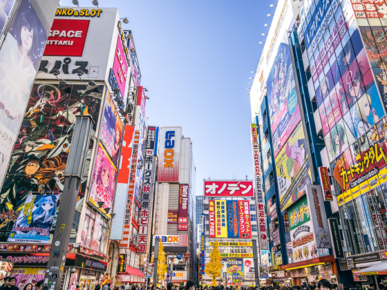 地旅商品画像5